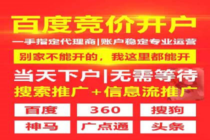 SEM托管服务案例：实现品牌价值最大化
